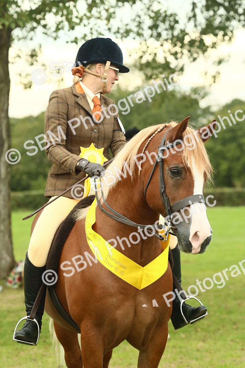 SBM_72308 - S60 - Mountain & Moorland Ridden Large Breeds