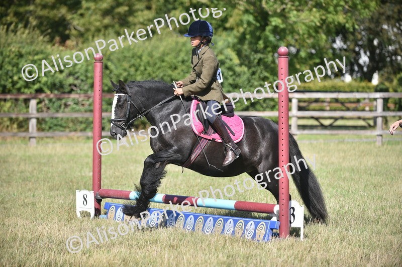 20260906-1005 - Class 7 - Absolute Novice Jumping 35cm