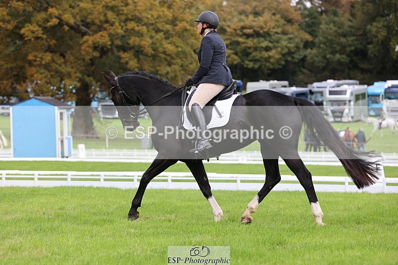 251023A-113709-03370 - D-315-Georgina.Marks