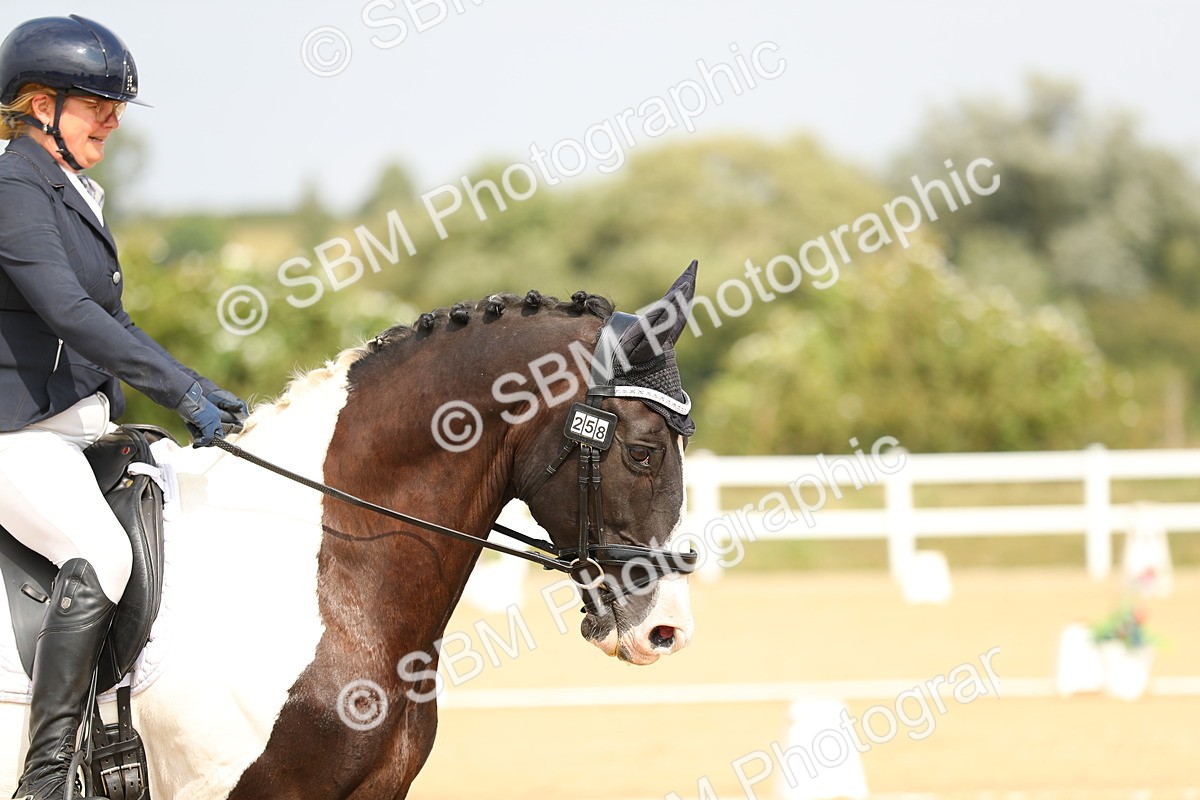 SBM_017266 - Class 13 - Novice 23 - 13.31-14.13