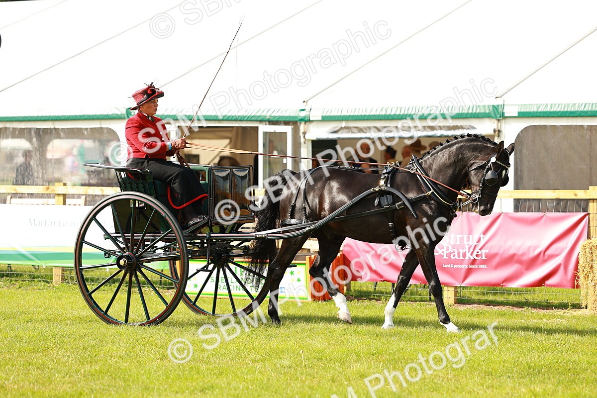SBM_01138 - Class 2-4 - HOYS Private Driving