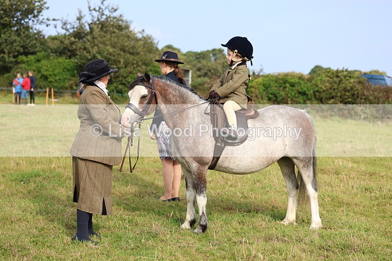 3E7A3640 - Class 2: Lead rein