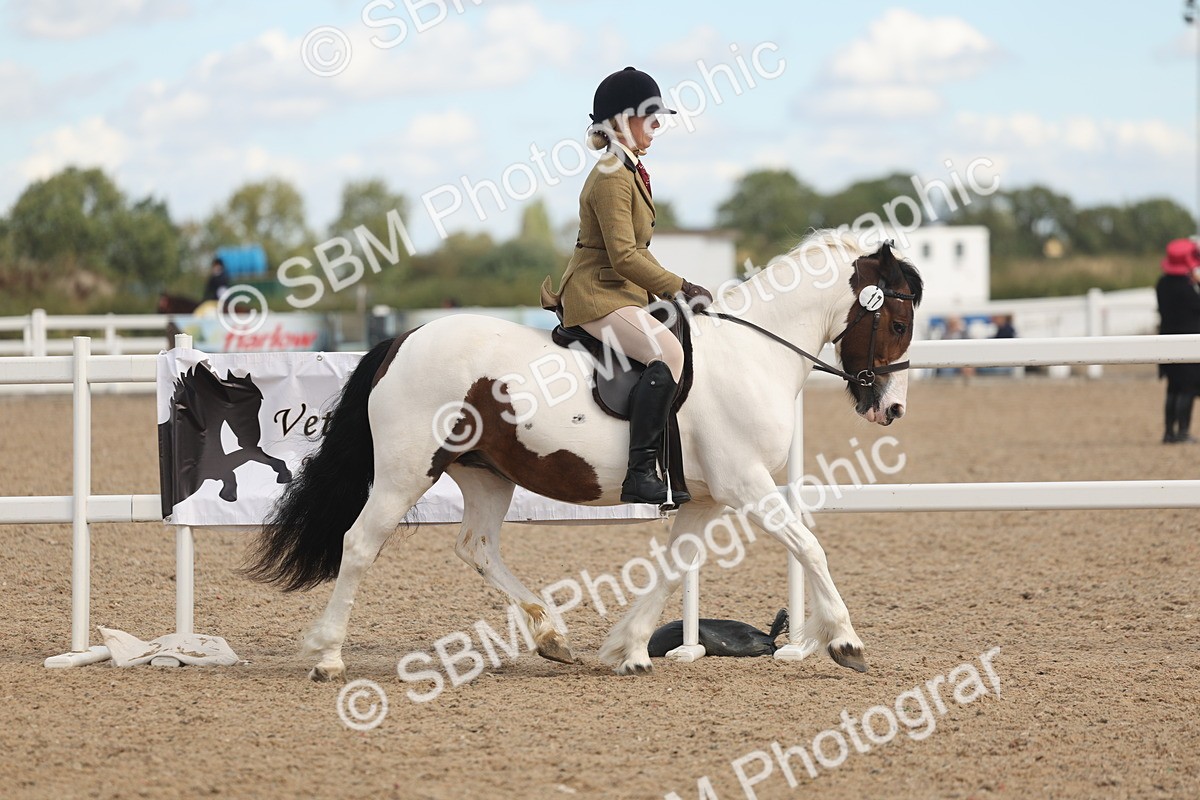 SBM_14633 - Class 307 - Ridden Coloured Pony