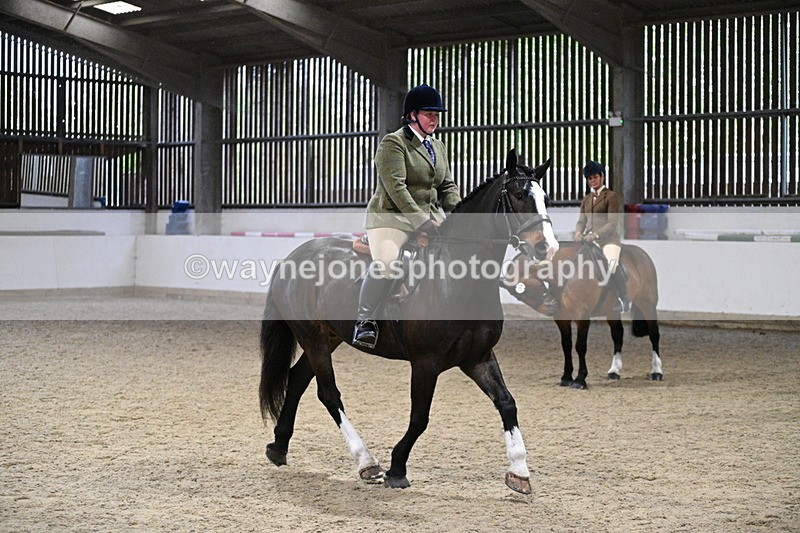 WJ7_3946 - Class 17 Ridden Cob