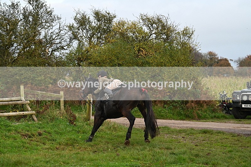 WJ7_0421 - Camera 1 & Last fence