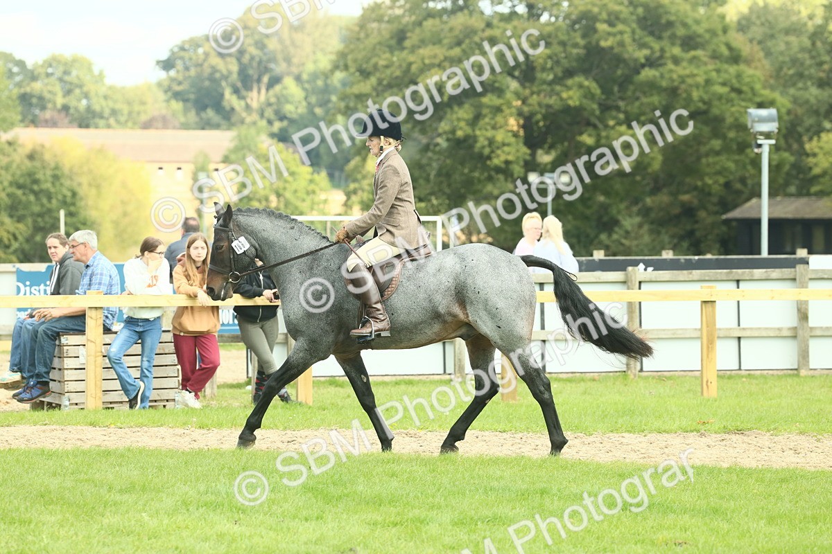 SBM_62619 - S63 - Other Coloured Horse Ridden