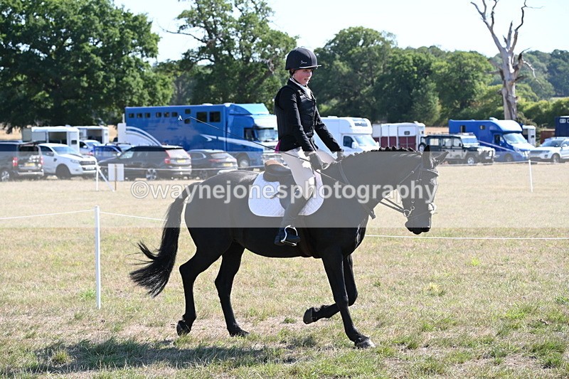 WJ6_7529 - Class 34 Judges Choice