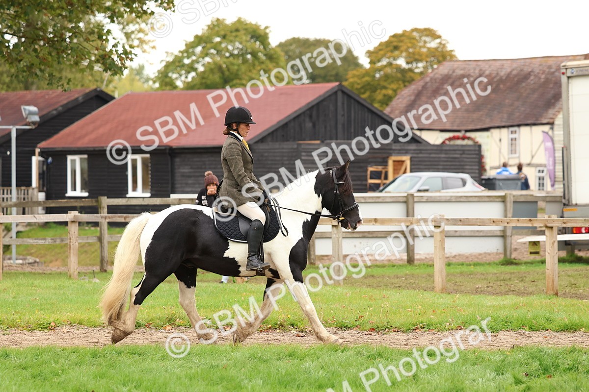 SBM_59867 - S36 - Rehabiliated Rescue Horse & Pony In Hand & Ridden