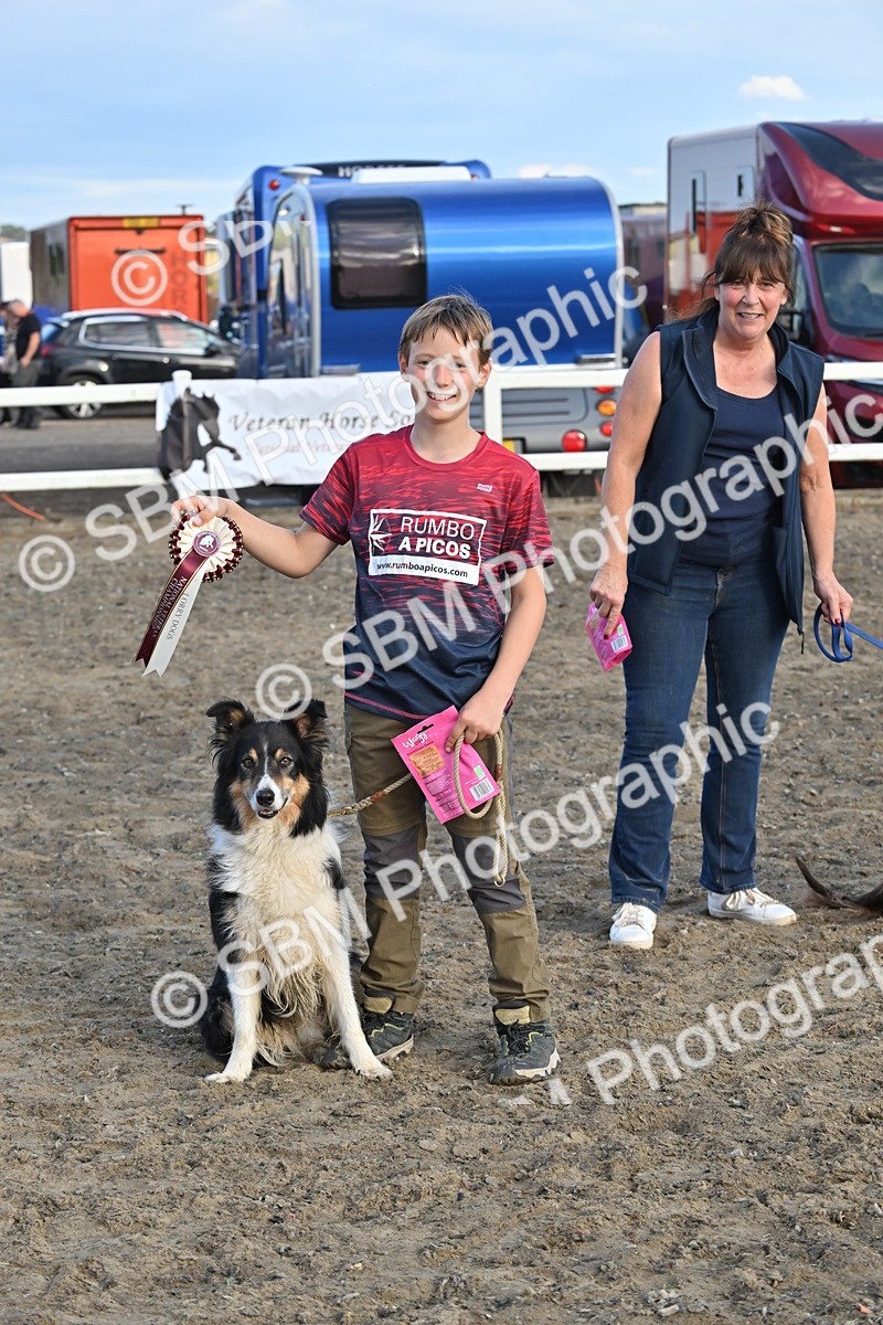 SBM_09502 - Lorry Dogs