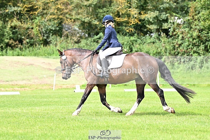 230826-112428-16977 - Sections A & B 10 to End