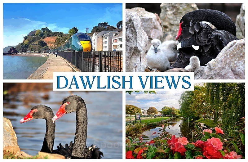 DAWLISH VIEWS AND BLACK SWANS - FRIDGE MAGNETS