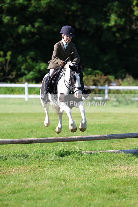3E7A5886 - Class 27: Novice Working Hunter Pony