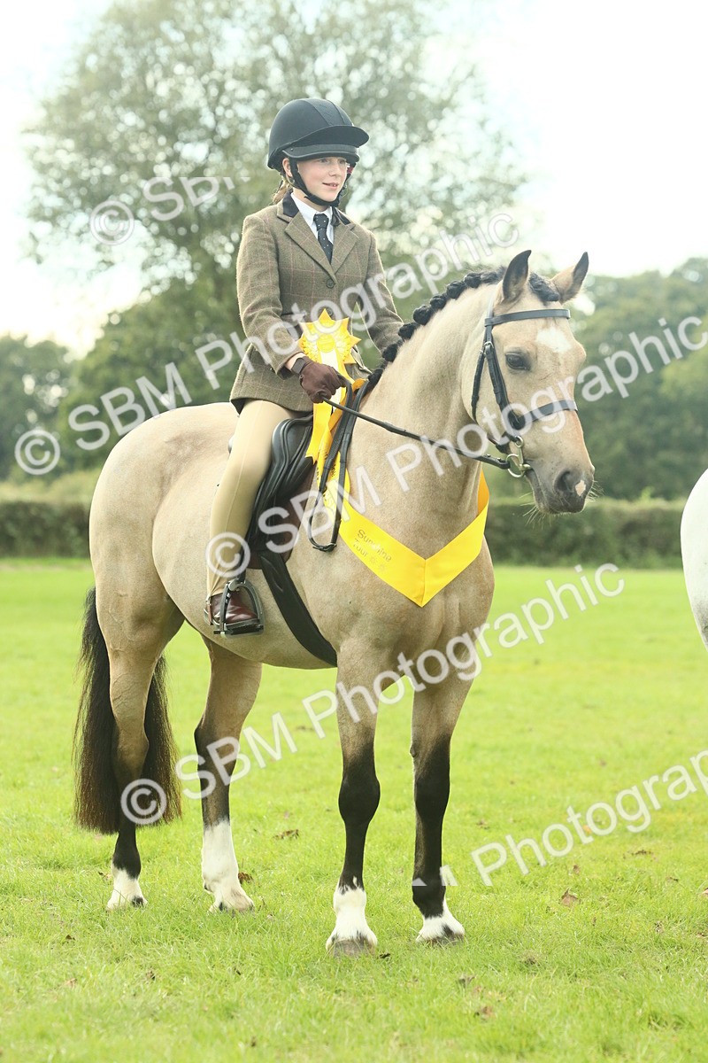 SBM_74126 - S 61 - Show Pony & Show Hunter Pony Ridden