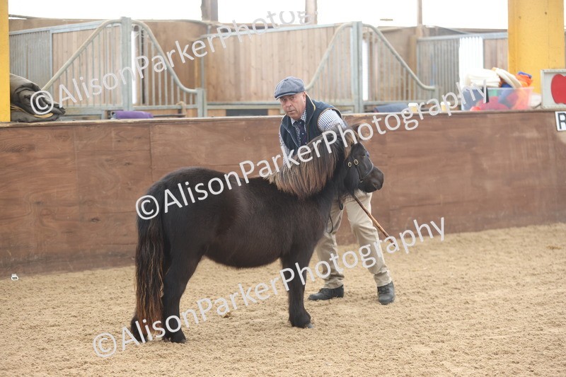 20251109-0009 - Class 2 - Yearling, Colt, filly or gelding