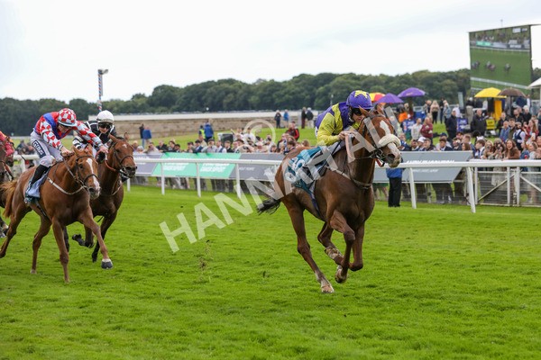 140624-Race 5-Ron O-5720 - Race 5 4.10pm Juddmonte EBF Fillies Restricted Novice Stakes