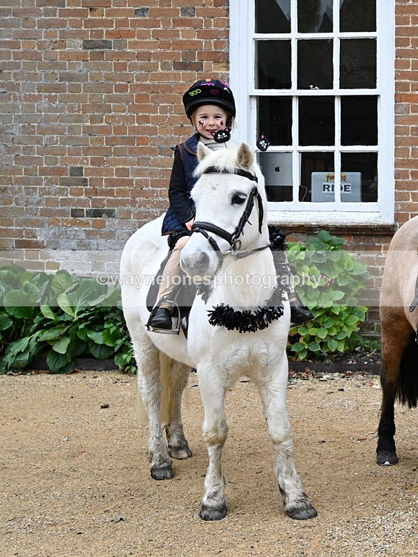 WJ7_6821 - Berks & Bucks - Children's Meet - The Old Farmhouse – Steventon.