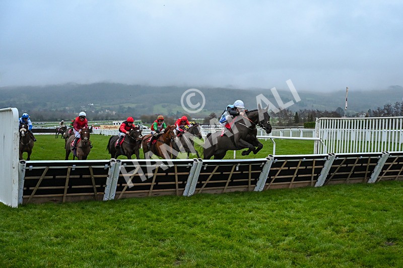 131224-Race 7-Long Draw-0192 - Race 7