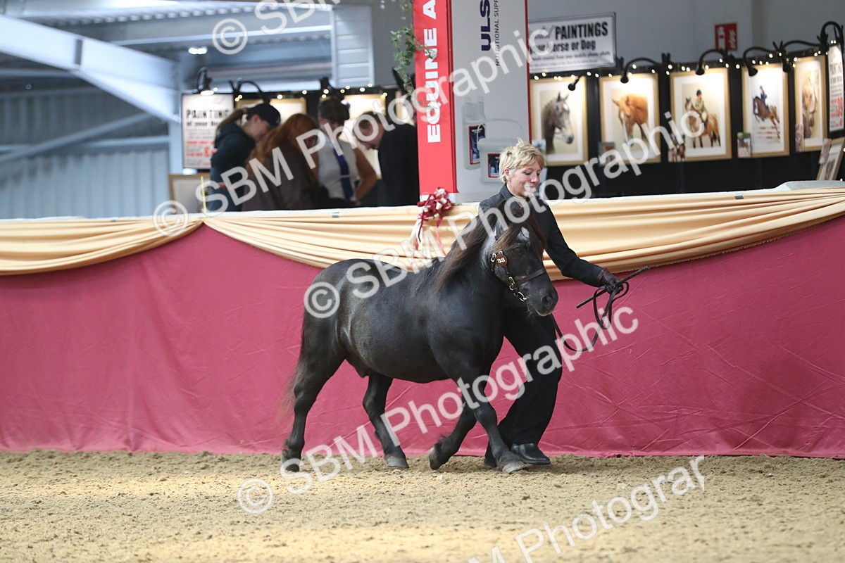 SBM_15170 - Class 501 M&M IH Supreme Final