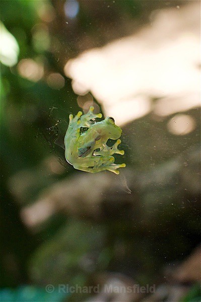  - Costa Rica