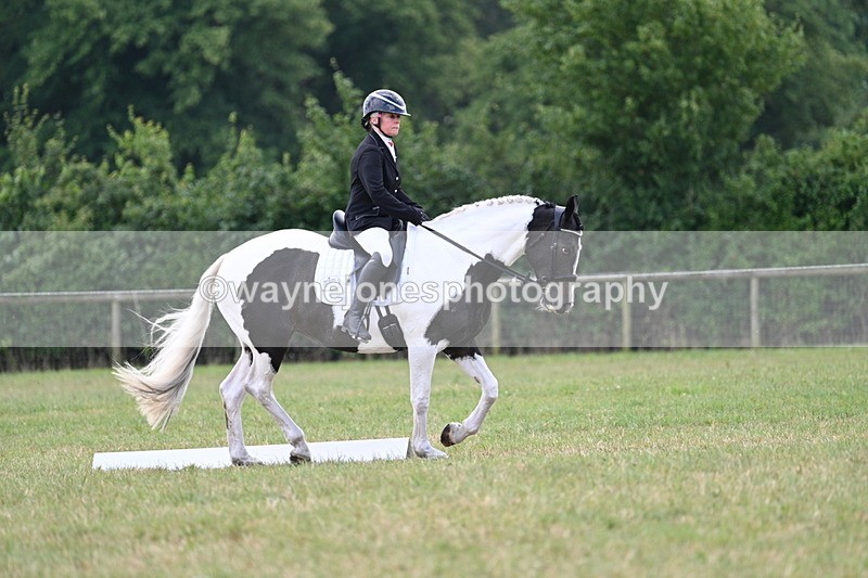 WJ7_5223 - Time 11:22 to 11:51