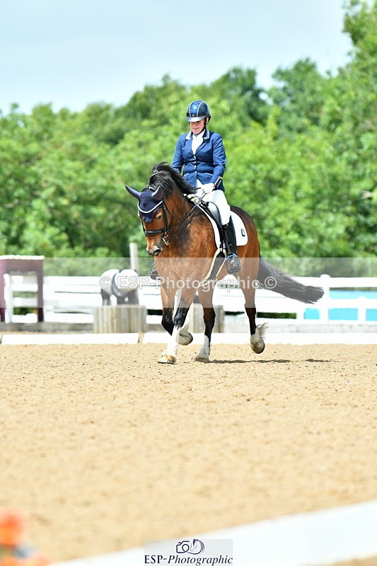 230702A-141229-10607 - Cls 32 Medium 73