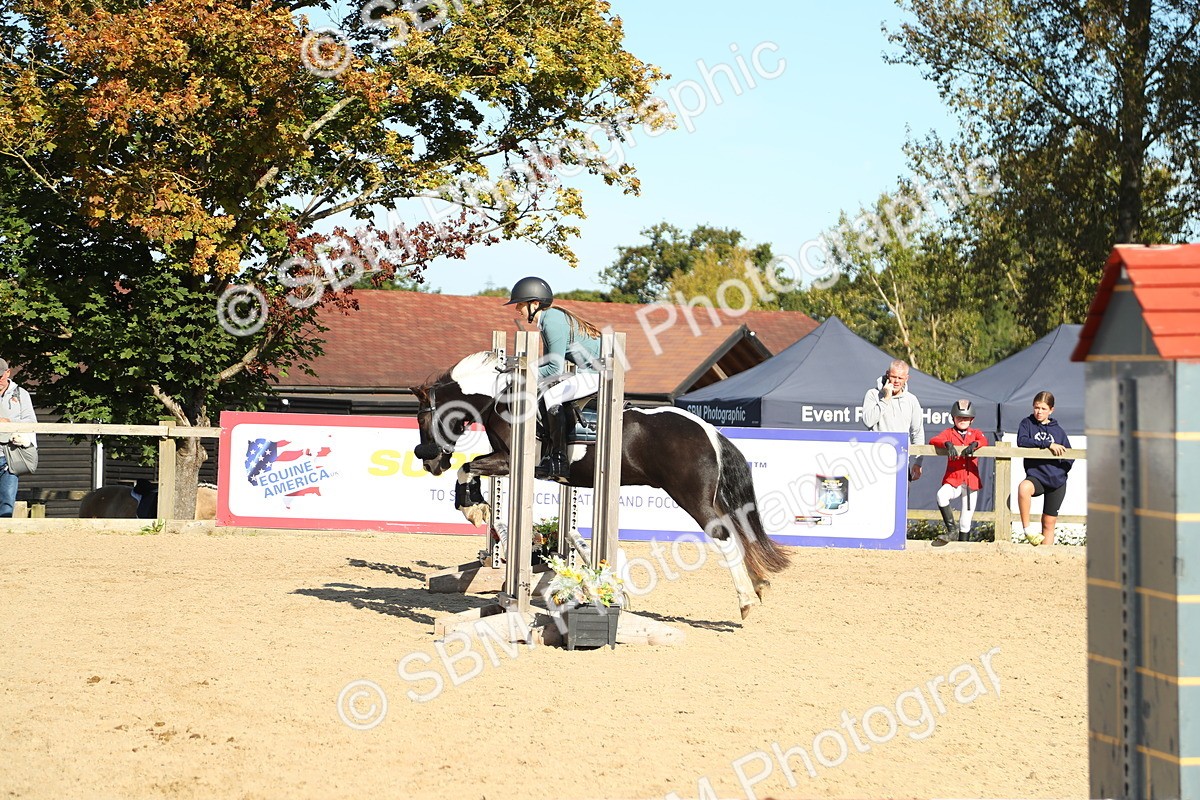 SBM_36016 - J5 - Junior Pony 50cm Championship