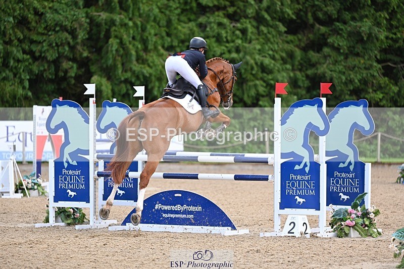 240526-162013-25392 - 233-SILVESTERS_FINESSE-Rosalind_Canter