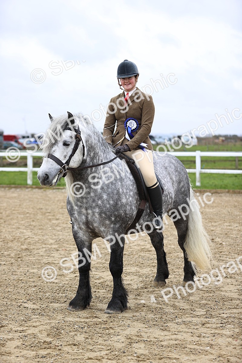 SBM_007609 - Class 31-32 - M&M Confined Novice Small-Large