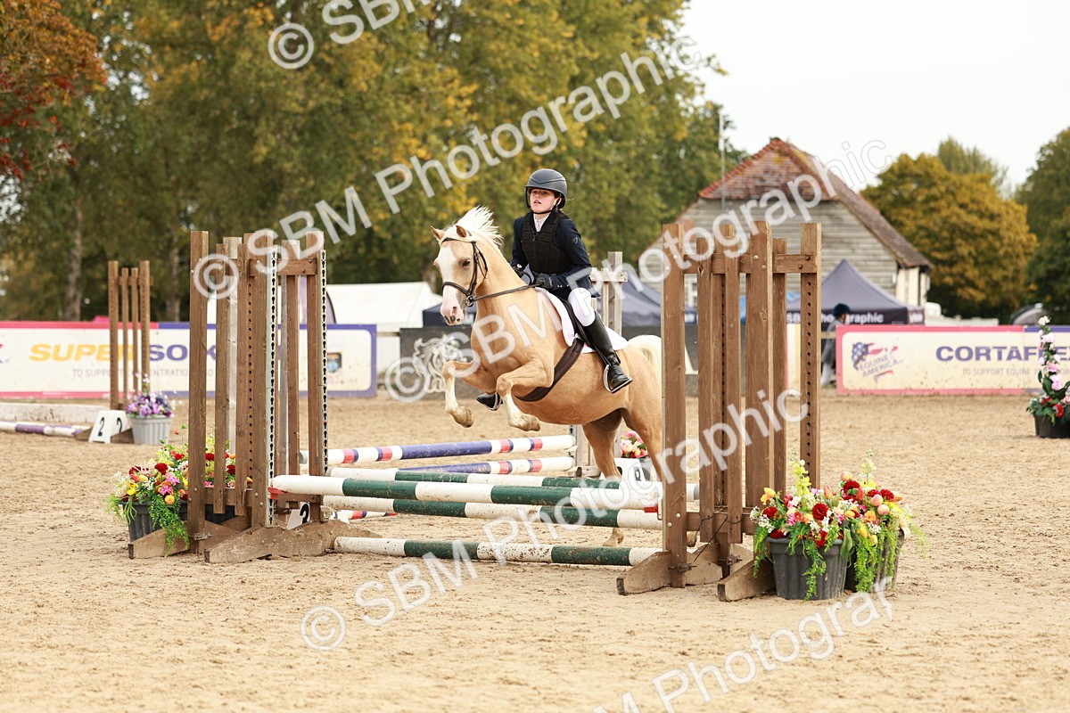 SBM_57802 - J11 - Junior Pony 50cm Championship