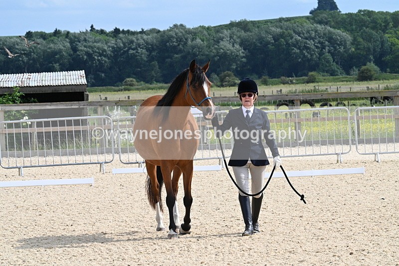 WJ7_8130 - Time 16:10 to 16:25