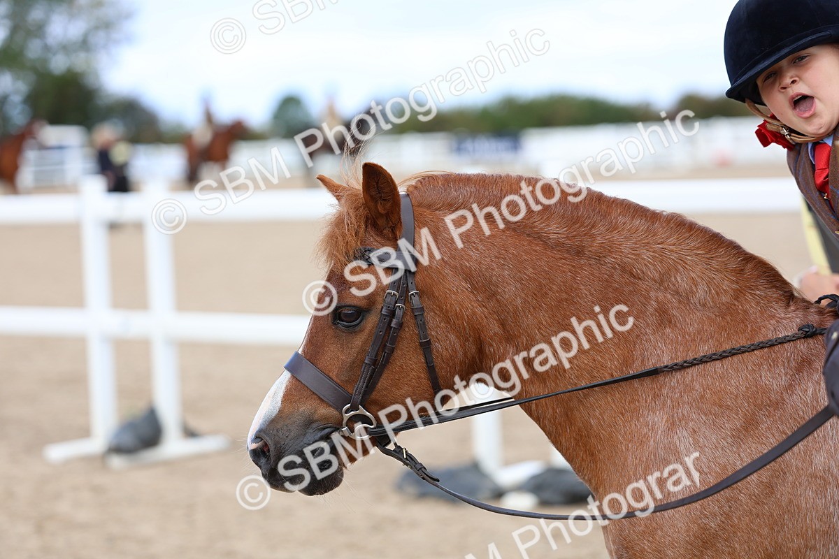 SBM_13096 - Class 309 - Lead Rein Pony