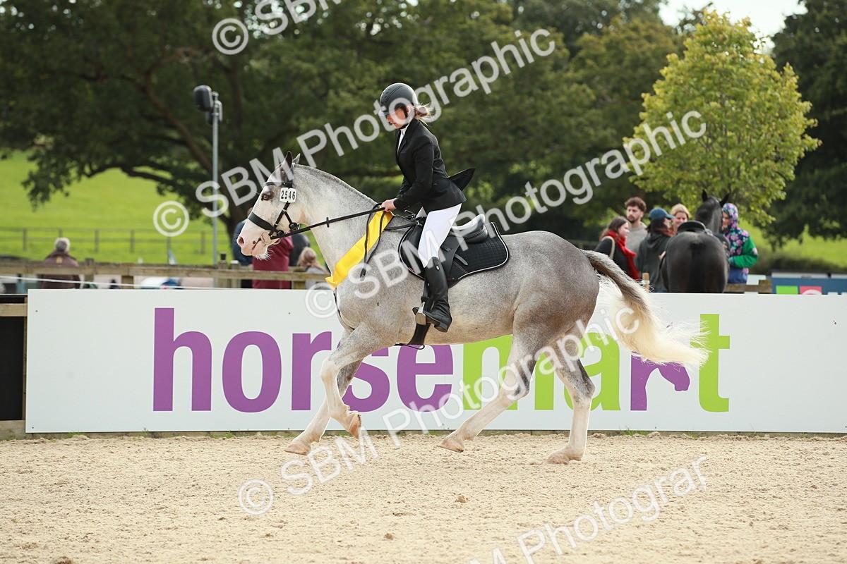 SBM_10281 - J31 Senior 75cm Championship