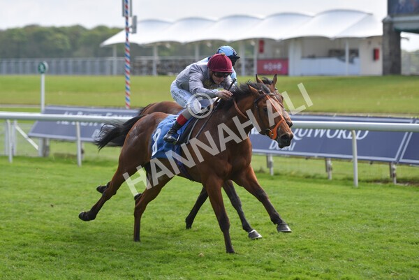 yr13052021r6-41 - Race 6 4.15pm Constant Security EBFstallions.com Maiden Stakes