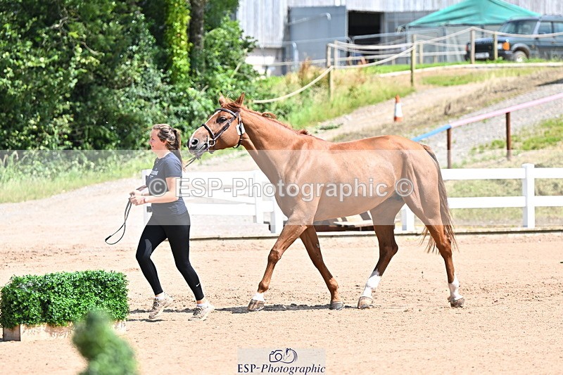 240718A-105245-01122 - Trot Up 12pm to 1pm