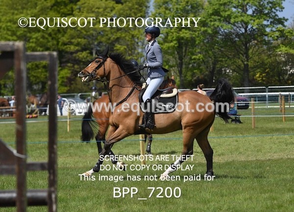 BPP_7200 - CLASS 3 Andrew Hamilton Coach, RHS Foxhunter Championship Qualifier