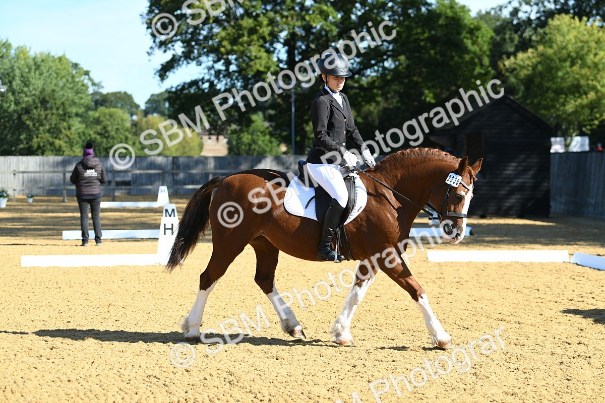 SBM_18016 - D4 - Small Tour Championship - Intro B