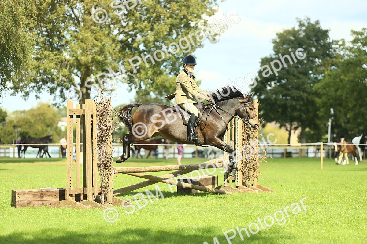 SBM_42899 - S30 - M&M Working hunter Pony