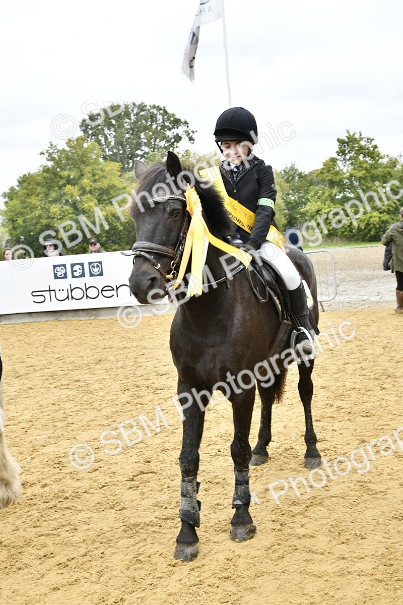 SBM_68488 - J2b - Mini Tour Junior Pony 30cm championship