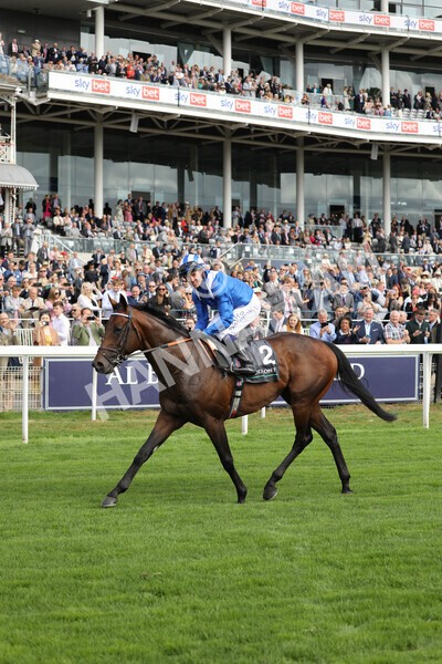 yr17082022r4-104 - Race 4 3.35pm Juddmonte International Stakes (British Champions Series Race)