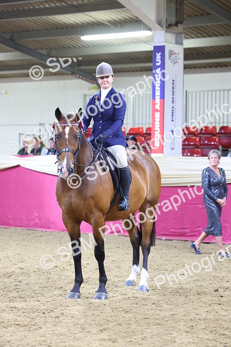 SBM_19165 - Class I Competition/ Riding Club Champ