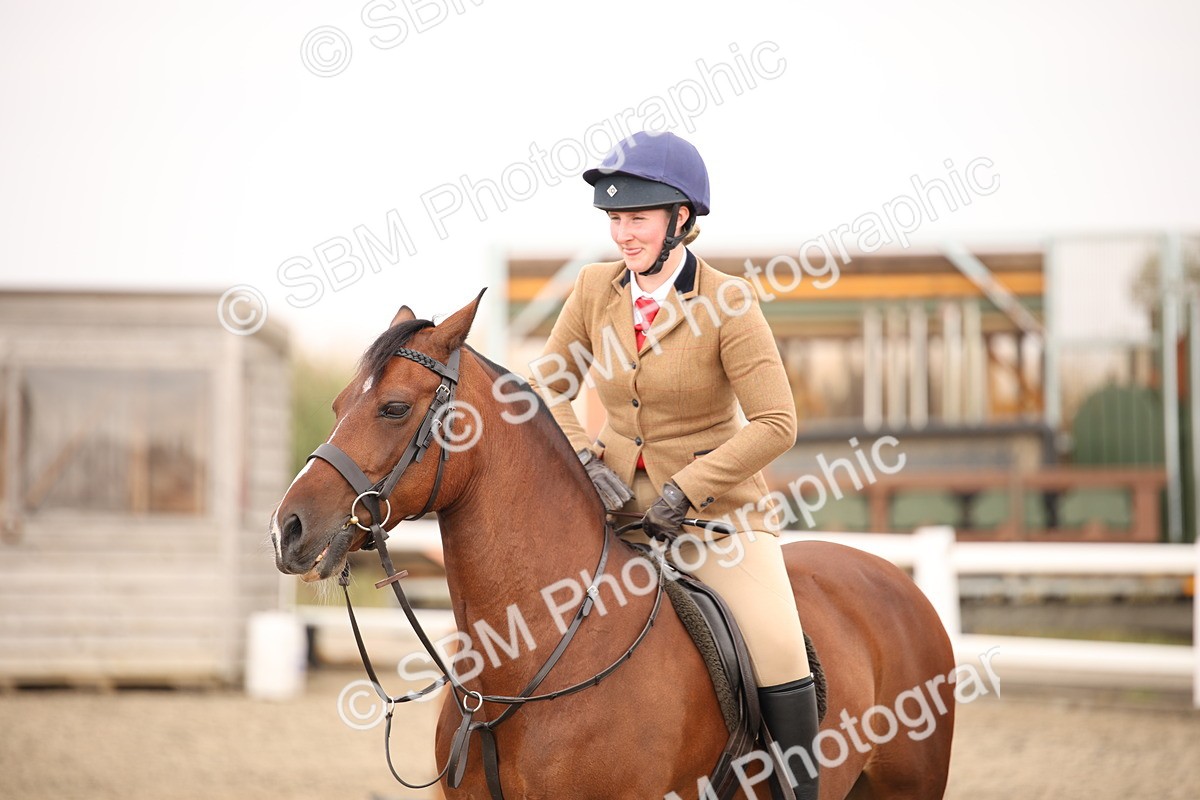 SBM_12278 - Class 405a - M&M Working Veteran 50cm (15-19)