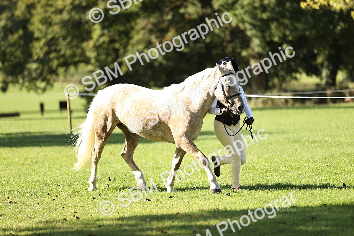 SBM_15945 - S1 - TSR in Hand Horse & Pony Showing