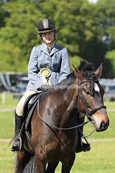 IMG_4690 - Working Hunter