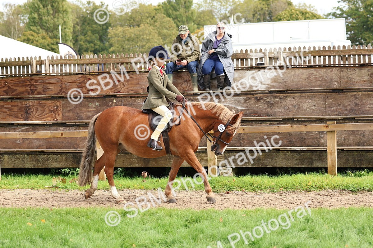 SBM_45161 - S27 - Young Veteran Ridden