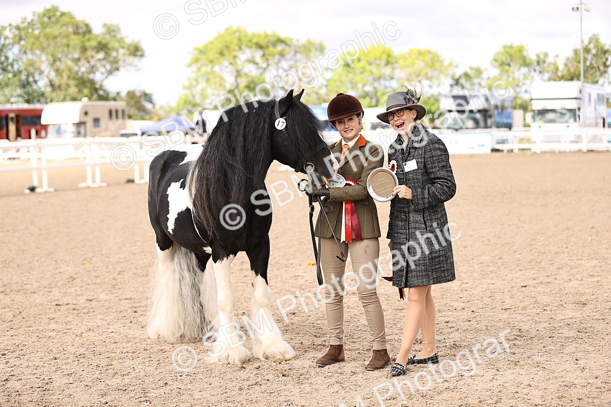 SBM_09324 - Class 404 - IH Traditional - Native Cob