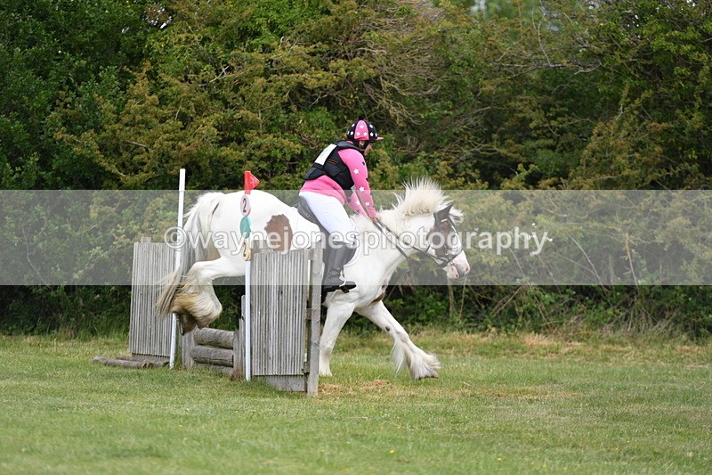 WJ5_2557 - Class 2 40cm