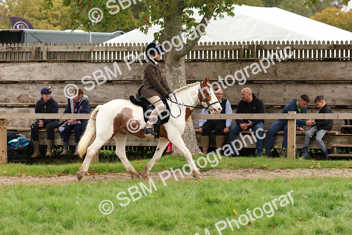 SBM_64429 - S58 - Coloured Pony Ridden
