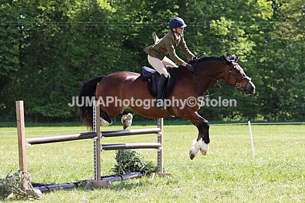 IMG_4721 - Working Hunter