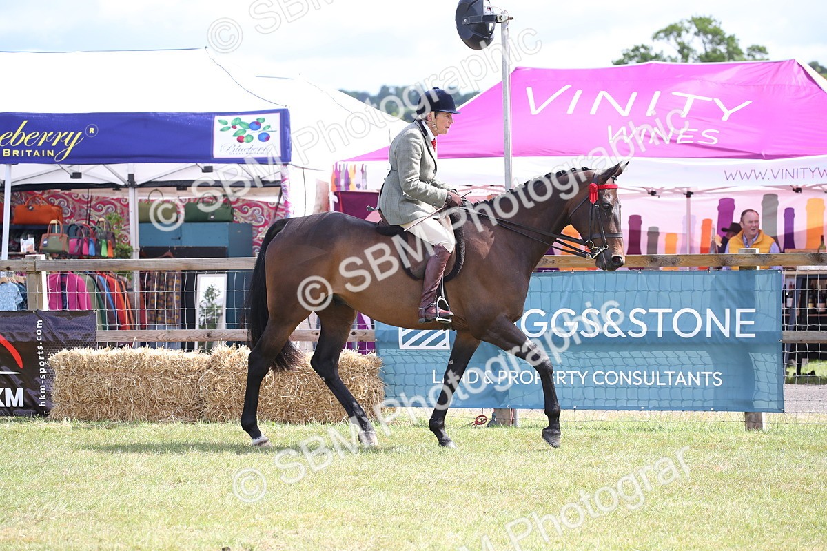 SBM_13175 - Class 95-96 - LIHS BSHA Rising Star Hack Riding Horse