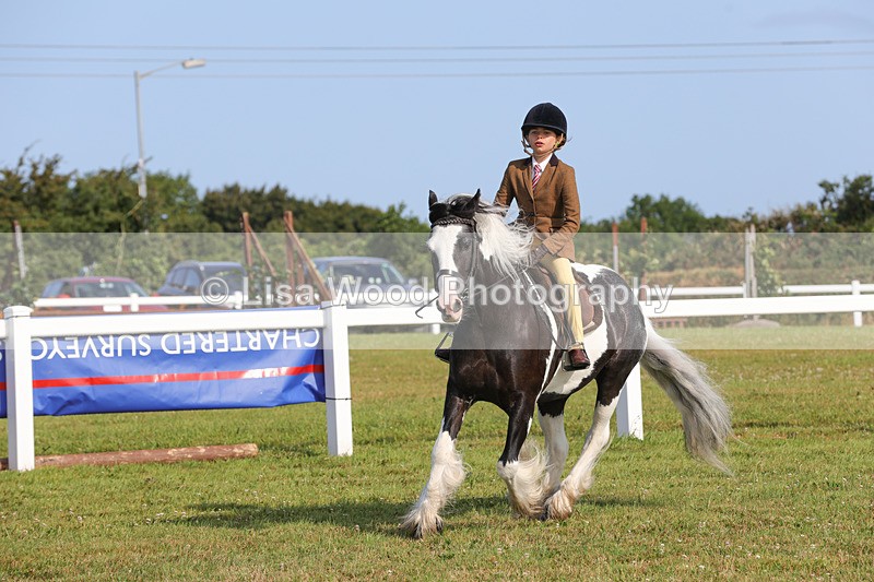 1X9A3313 - Class 28: Ridden Native/Trad Coloured Pony